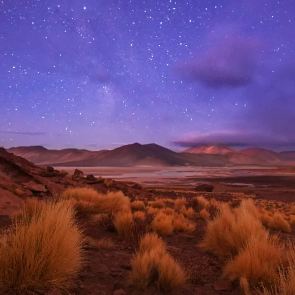 גלו את נפלאות מדבר אטקמה: אוצרות הצפון הצ'יליאני