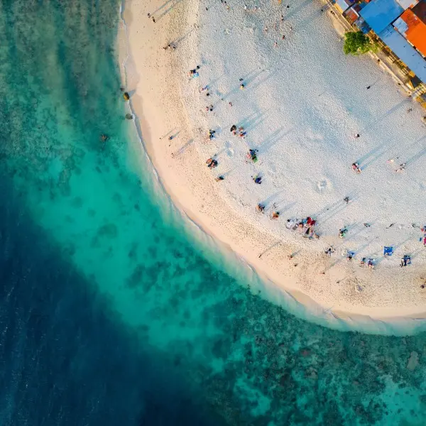 חוויות בלתי נשכחות מחכות לכם בגן העדן הטרופי של סבו!