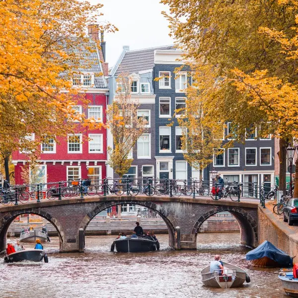 אמסטרדם: חוות החלומות המלאה בצבעים מרהיבים