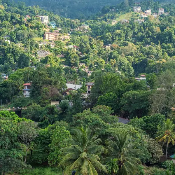 הקצב הסוחף של סרי לנקה: קנדי מחכה להרפתקה חלומית