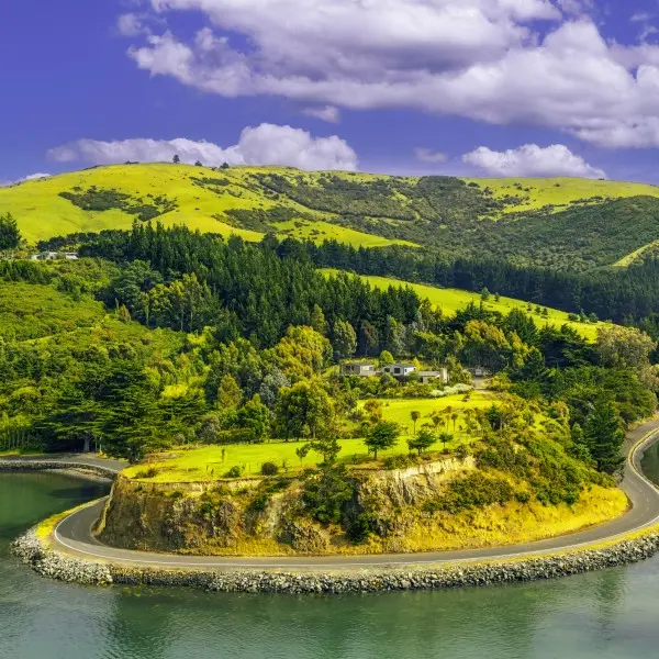 קרייסטצ׳רץ׳ - הדלת המסתורית לניו זילנד הקסומה