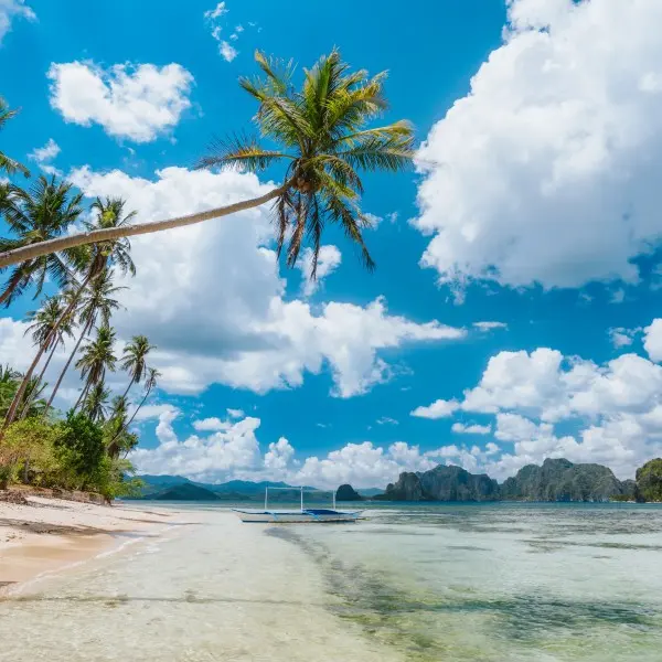 גלה את פלאוואן – הפנינה הטרופית הסמויה מהעין