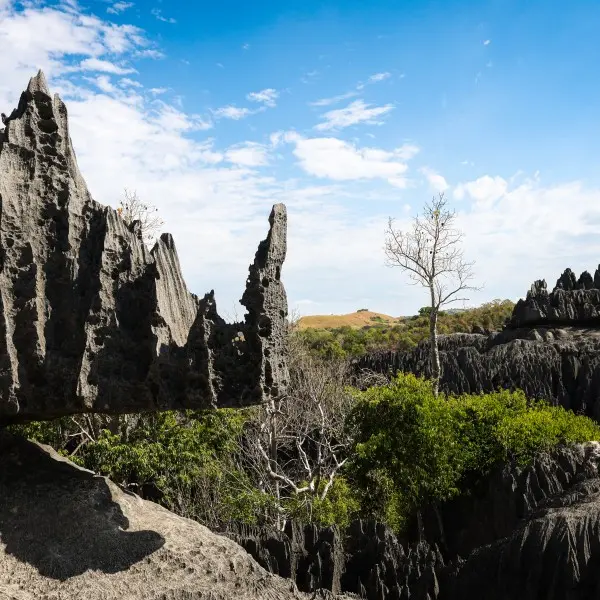 גלו את נומזי – האוצר הנסתר של מזרח אסיה ממתין לכם!