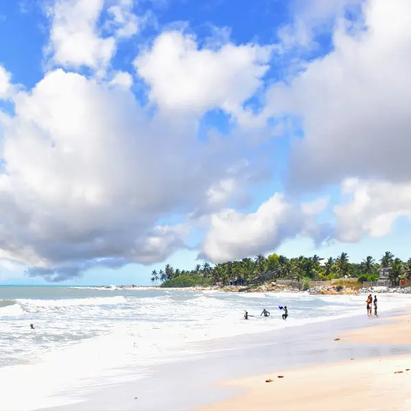 "גלו את קסמה של קולומבו - הדופק הפועם של סרי לנקה"