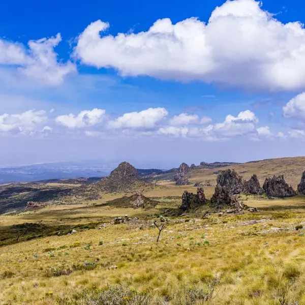 חוו את פלאי שמורת סימיאן: הטבע עוצר הנשימה של אתיופיה