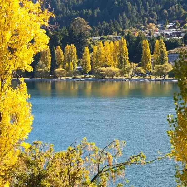 גלה את קווינסטאון – יעד ההרפתקאות האולטימטיבי בניו זילנד!