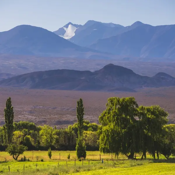 מסע ללב הכרמים: מנדוסה - בירת היין של ארגנטינה מחכה לכם!