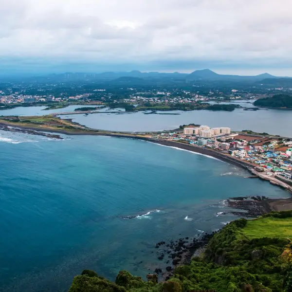 אי ג'ג'ו – תגלו את סוד הקסם הקוריאני שכולם חייבים לחוות!