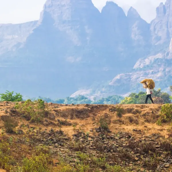 באהר דאר: גלו את פנינת האגמים הקסומה של אתיופיה