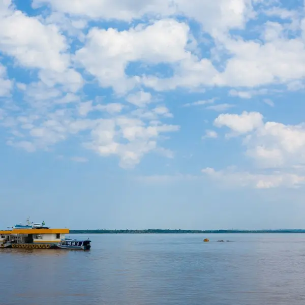 מנאוס: ההרפתקה המדהימה שלכם בלב האמזונס מחכה!