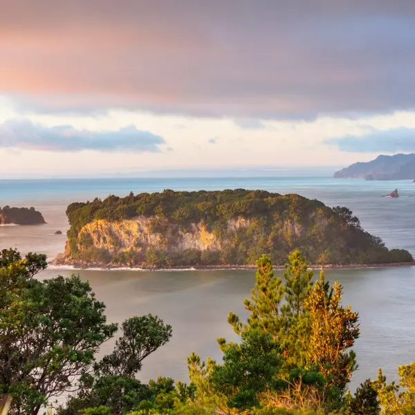 אוקלנד הקסומה: גלו את הלב הפועם של ניו זילנד!
