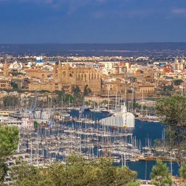 גלה את הקסם של פלמה דה מיורקה: חופים, היסטוריה וחיים תוססים