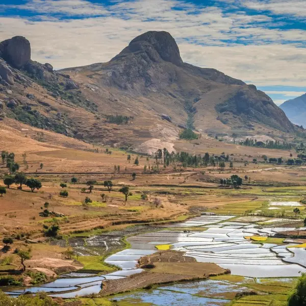 "מדגסקר הקסומה – גן העדן הפראי מחכה לכם!"