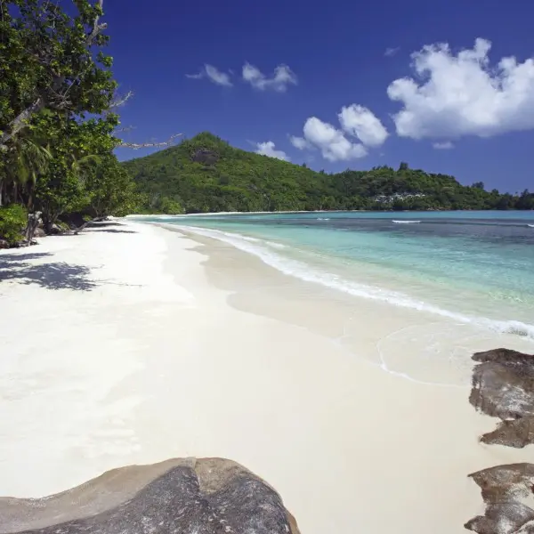 חופשה חלומית בגן עדן טרופי ובוהק באמצע האוקיינוס!