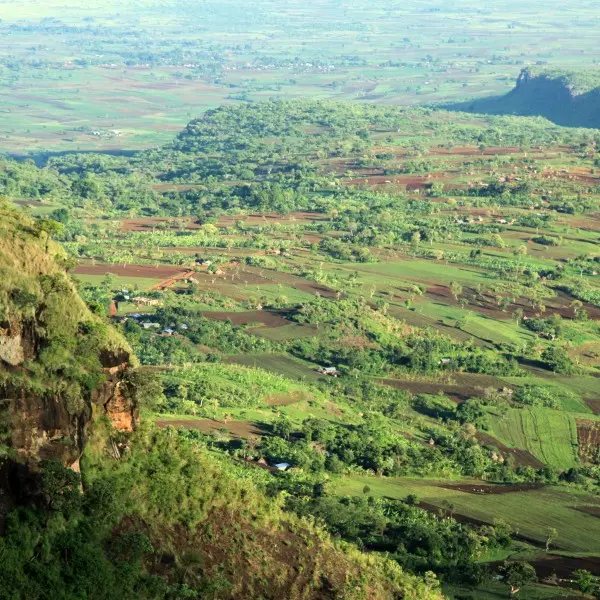 אתיופיה - הרפתקה מלהיבה בלב אפריקה עם השטיח המעופף
