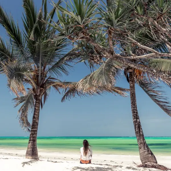 חופשה טרופית קסומה במומבסה - על חופי האוקיינוס ההודי!